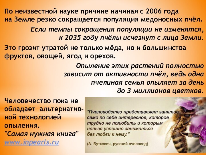 По неизвестной науке причине начиная с 2006 года на Земле резко сокращается популяция медоносных пчёл.