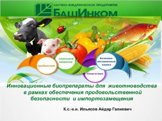 Инновационные биопрепараты для животноводства в рамках обеспечения продовольственной безопасности и импортозамещения. БашИнком