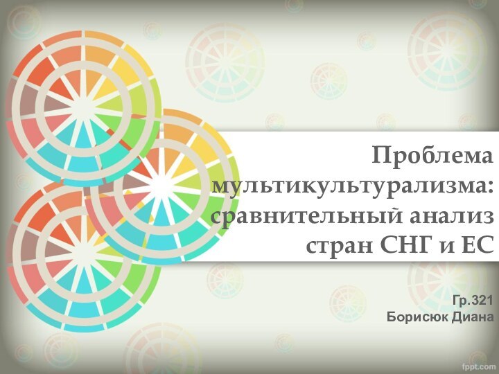 Проблема мультикультурализма: сравнительный анализ стран СНГ и ЕСГр.321 Борисюк Диана