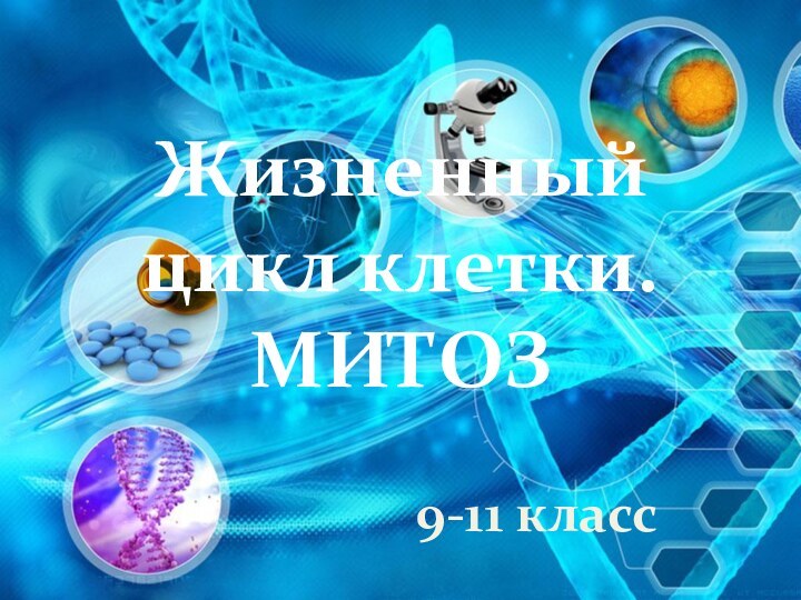 Жизненный цикл клетки.  МИТОЗ9-11 класс