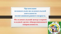 Организация познавательно-исследовательской деятельности воспитанников раннего возраста