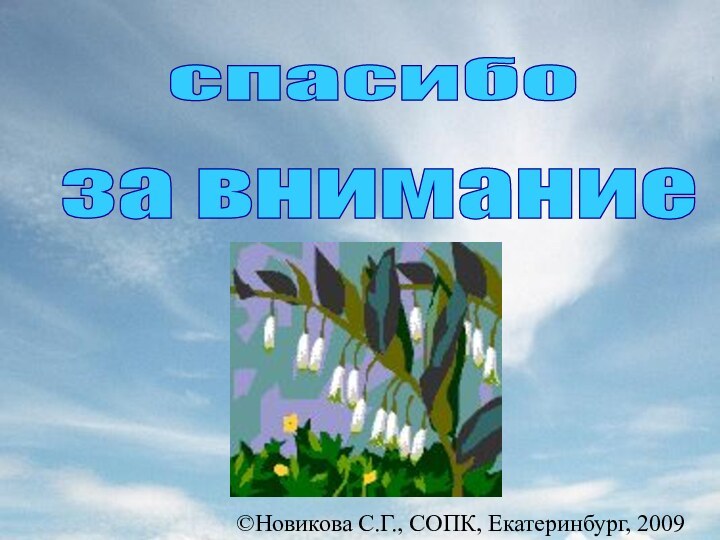 ©Новикова С.Г., СОПК, Екатеринбург, 2009спасибо за внимание