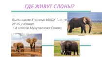 Где живут слоны