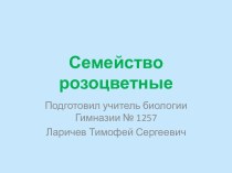 Семейство Розоцветные