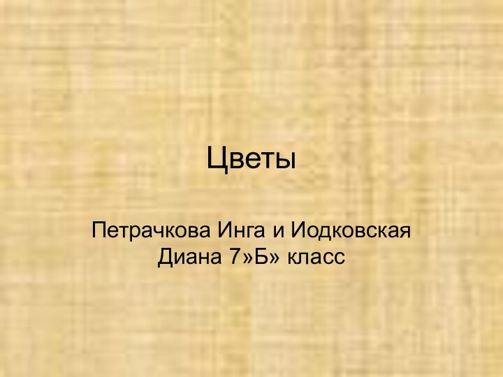 ЦветыПетрачкова Инга и Иодковская Диана 7»Б» класс