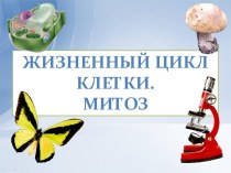 Жизненный цикл клетки. Митоз