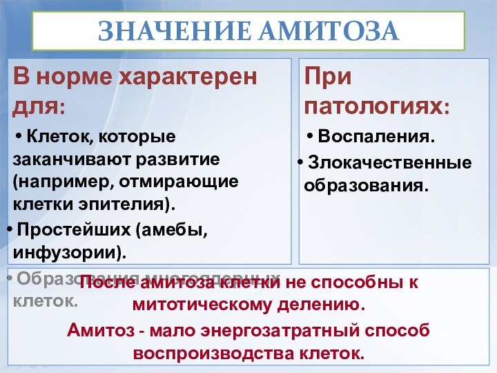 ЗНАЧЕНИЕ АМИТОЗАВ норме характерен для: Клеток, которые заканчивают развитие (например, отмирающие клетки