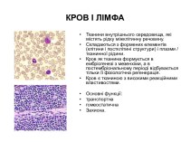 Кров і лімфа