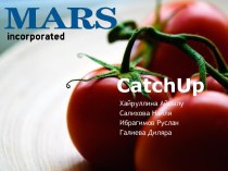 Позиция компании MARS® в России и СНГ