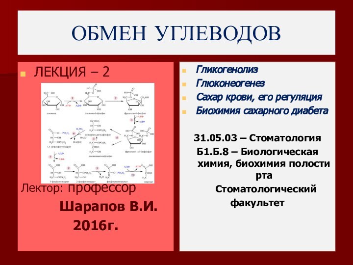 ОБМЕН УГЛЕВОДОВЛЕКЦИЯ – 2Лектор: профессор     Шарапов В.И.2016г.ГликогенолизГлюконеогенезСахар крови,