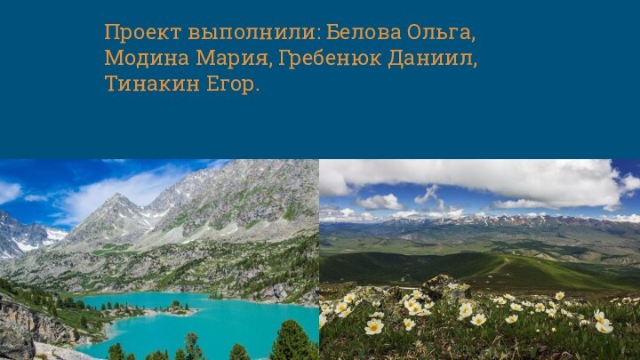 Проект выполнили: Белова Ольга, Модина Мария, Гребенюк Даниил, Тинакин Егор.