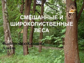 Смешанные и широколиственные леса