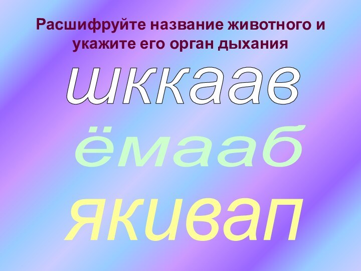 Расшифруйте название животного и укажите его орган дыханияшккаавёмаабякивап