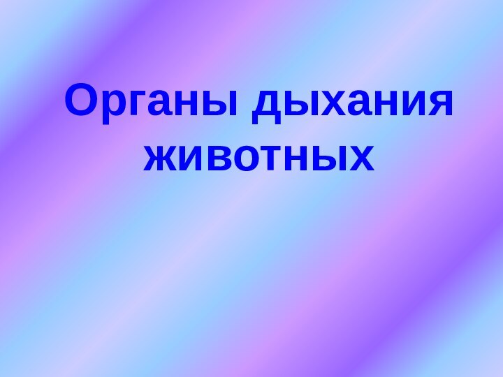 Органы дыхания животных