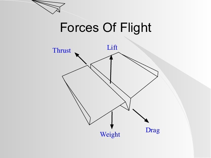 Forces Of Flight WeightDragLiftThrust