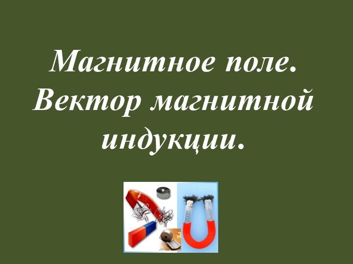 Магнитное поле. Вектор магнитной индукции.