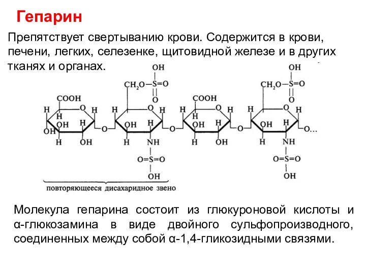 ГепаринПрепятствует свертыванию крови. Содержится в крови, печени, легких, селезенке, щитовидной железе и