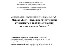 Д-Маркет ЖШС ішкі сауда объектісіндегі атқарылатын профилактикалық дезинфекцияны бағалау