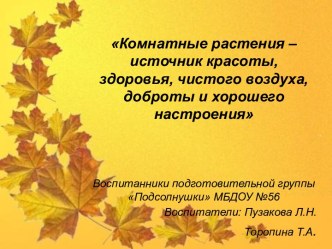 Комнатные растения — источник красоты, здоровья, чистого воздуха, доброты и хорошего настроения