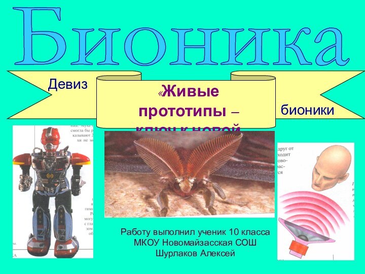 Бионика«Живые прототипы –  ключ к новой технике»ДевизбионикиРаботу выполнил ученик 10 класса