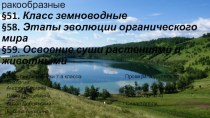 Тип членистоногие. Класс ракообразные