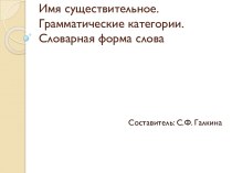 Имя существительное. Грамматические категории. Словарная форма слова