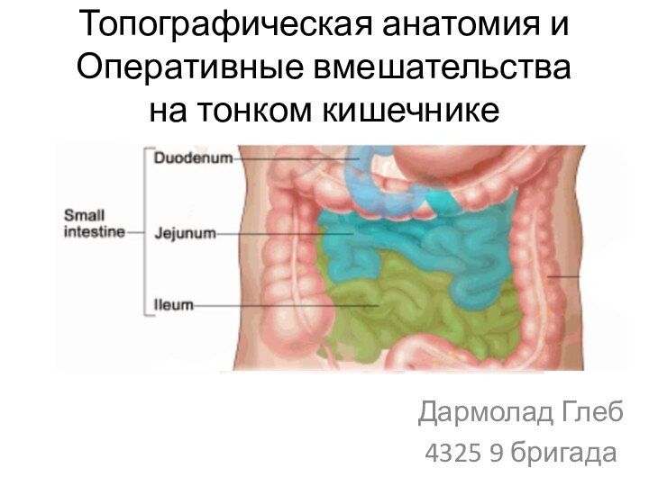 Топографическая анатомия и Оперативные вмешательства на тонком кишечникеДармолад Глеб4325 9 бригада