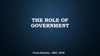 The role of government