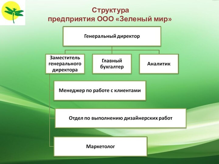 Структура  предприятия ООО «Зеленый мир»