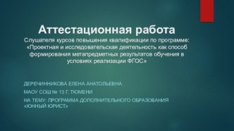 Аттестационная работа. Программа дополнительного образования. Юнный юрист