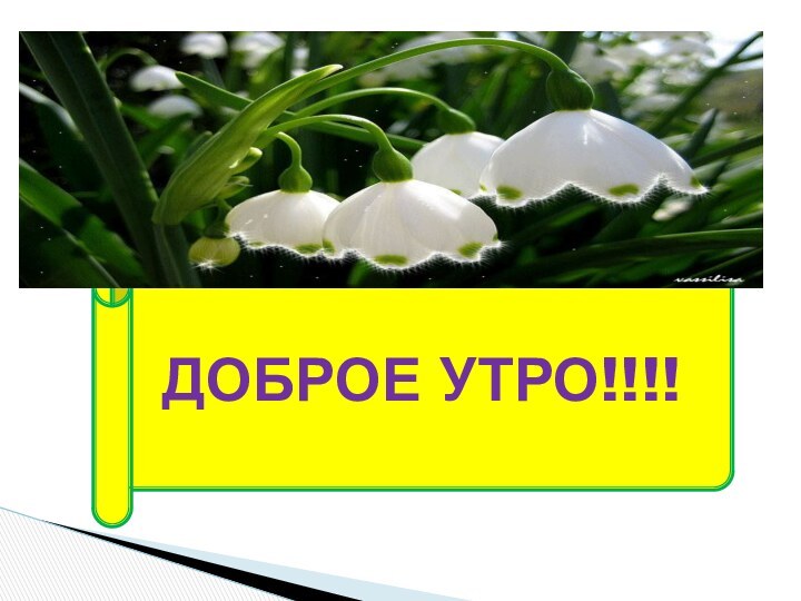 ДОБРОЕ УТРО!!!!