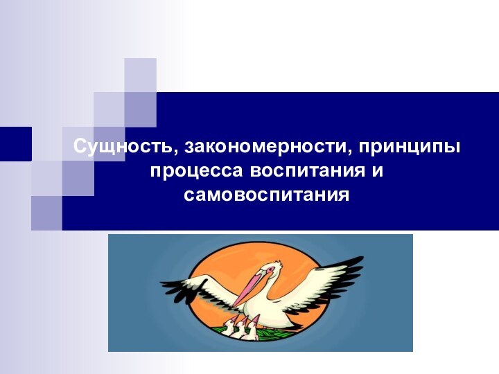 Сущность, закономерности, принципы процесса воспитания и самовоспитания