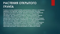 Растения открытого грунта