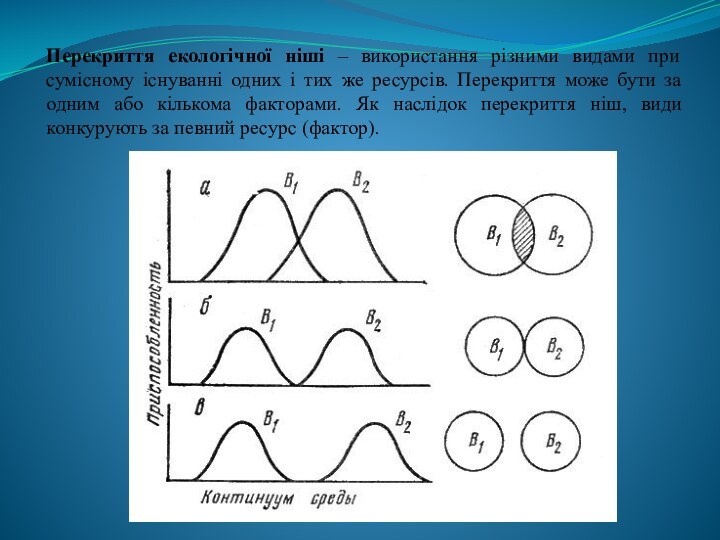 Перекриття екологічної ніші – використання різними видами при сумісному існуванні одних і