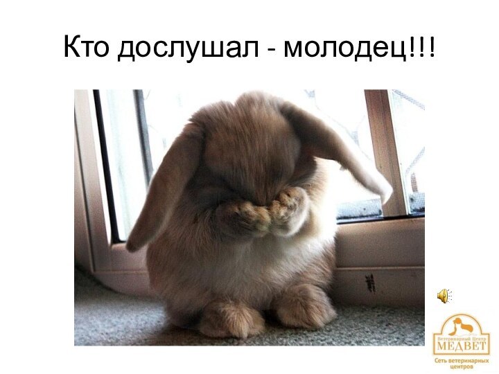 Кто дослушал - молодец!!!