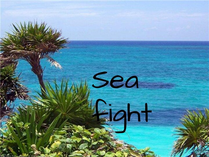 Sea fight