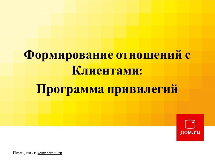 Формирование отношений с Клиентами:Программа привилегийПермь, 2015 г. www.domru.ru