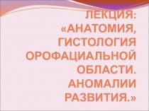 Топография и гистология полости рта и ротоглотки