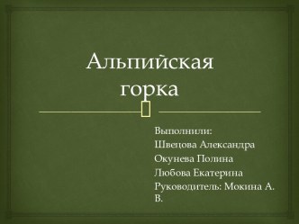 Проект Альпийская горка