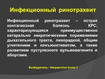 Инфекционный ринотрахеит