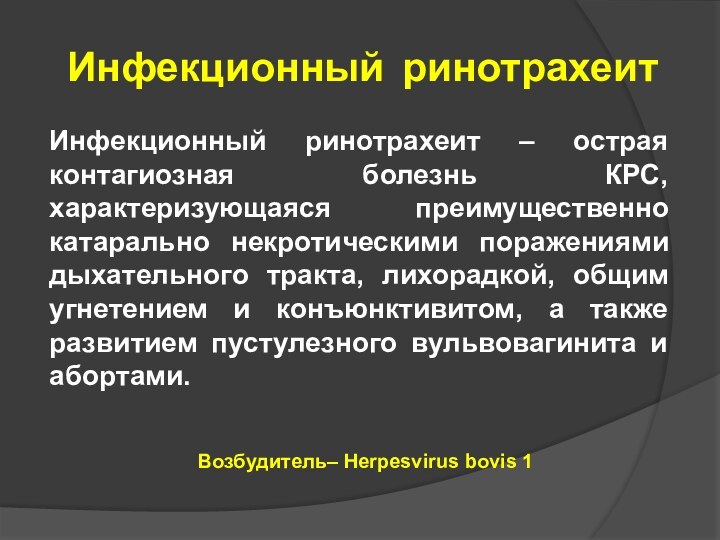 Инфекционный ринотрахеитИнфекционный ринотрахеит – острая контагиозная болезнь КРС, характеризующаяся преимущественно катарально некротическими