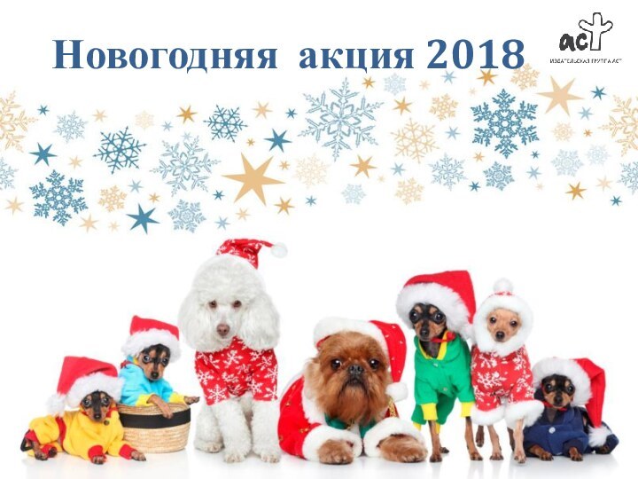 Новогодняя акция 2018