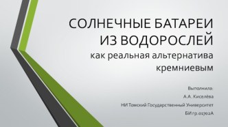 Солнечные батареи из водорослей как реальная альтернатива кремниевым