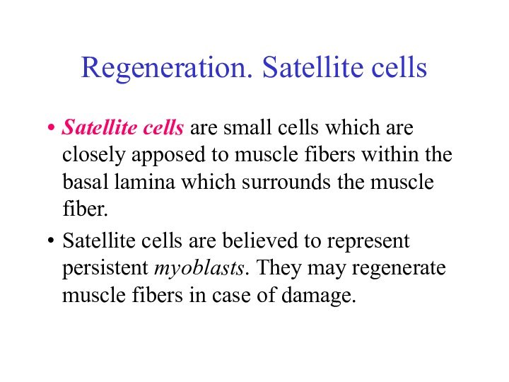 Regeneration. Satellite cellsSatellite cells are small cells which are closely apposed to