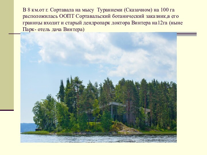 В 8 км.от г. Сортавала на мысу Тураниеми (Сказачном) на 100 га