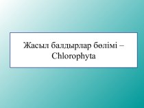 Жасыл балдырлар бөлімі – Chlorophyta