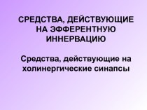 Средства, действующие на эфферентную иннервацию средства, действующие на холинергические синапсы