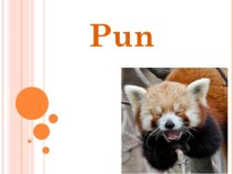 What is pun?