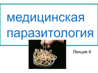 Тип членистоногие. Медицинская арахноэнтомология. (Лекция 6)