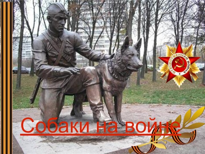 Собаки на войне